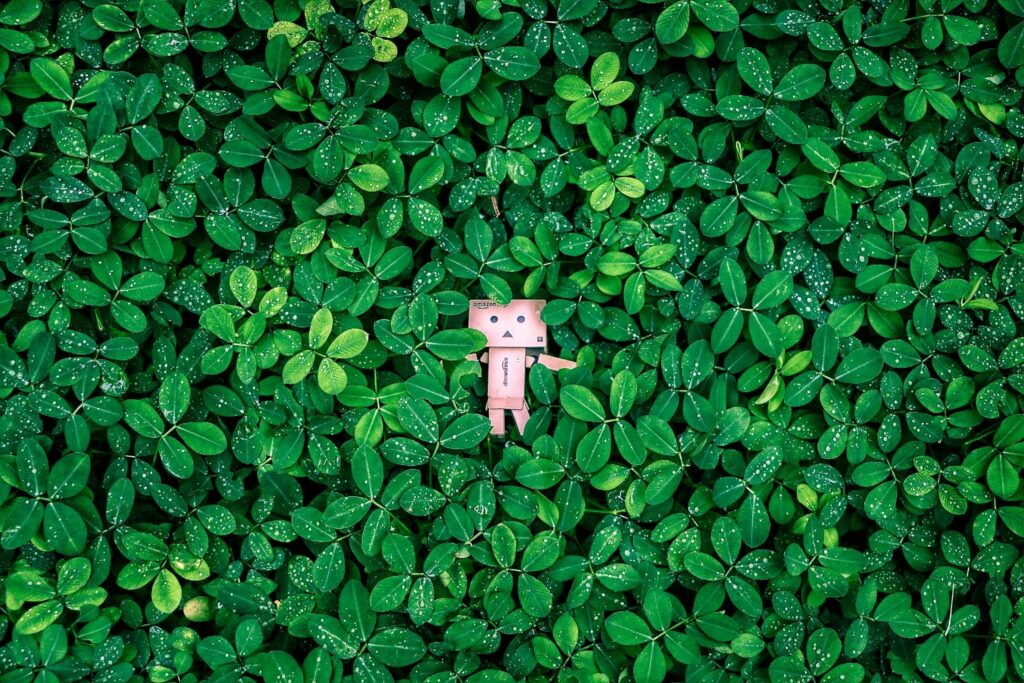 Bot AI – czym jest sztuczna inteligencja w formie bota i jak pomaga w tworzeniu wpisów na blogu oraz treści marketingowych